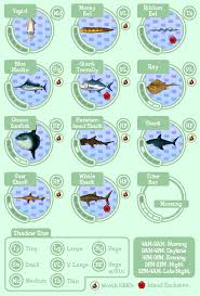 Island Fish Guide Animal Crossing Animal Crossing Fish Animal Crossing Game