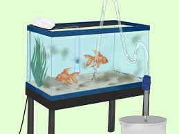 How To Install An Undergravel Filter Ugf Fish Tank Cool Fish Tanks Aquarium Air Pump