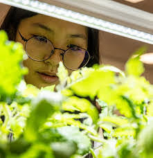 Noelle Calhoun's Instagram, Twitter & Facebook