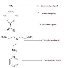 Their charge, their size (bulk), the identity of. Classify The Following Ligand Based On The Number Of Donor Atoms 1 Nh3 2 En 3 Ox2 4 Triamino Brainly In