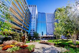 residencies and fellowships academics mayo clinic