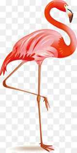 النحام Png المتجهات Psd قصاصة فنية تحميل مجاني Pngtree Arte De Flamingo Flamingo Papel De Parede Flamingo