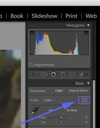 Thumbnails look good in library but selecting for develop just gave me a green screen. Lutify Me How To Install Lutify Me Luts In Adobe Photoshop Lightroom Classic Cc