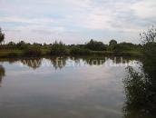 We did not find results for: Aranyhal Horgaszto Fishworld