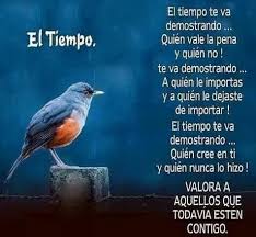 Tiempo Life Quotes Inspirational Quotes Spanish Quotes