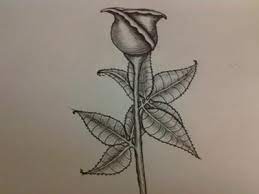 Saved by diy and crafts at home. My First Rose In Pen