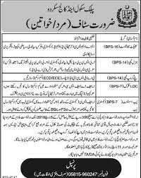 Gilgit Baltistan Career Educational Social Forum Public School College Skardu Announced Position School College Public School School