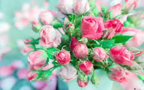 Best hd wallpapers of flowers, desktop backgrounds for pc & mac, laptop, tablet, mobile phone category: Pink Roses Bouquet Hd Wallpaper Download