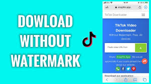Many people wonder how to download tiktok videos but without the nasty watermark that is all over the place. How To Download Tiktok Videos Without Watermark Freewaysocial
