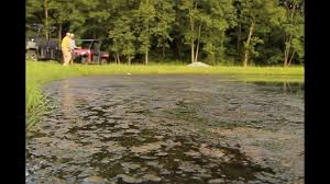 Environmental managers, including aquatic weed managers, have learned much from the past, and are determined to conduct their work in appropriate ways using compounds that. Controlling Weeds In Your Pond With Southeastern Pond Management Youtube