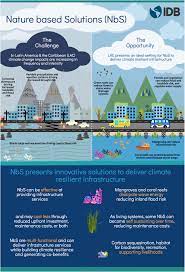 What Are Nature Based Solutions And Why Do They Matter