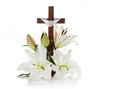❶ take the polystyrene plate and draw a cross on it with a ruler and pencil. 11 770 Best Funeral Flowers White Background Images Stock Photos Vectors Adobe Stock