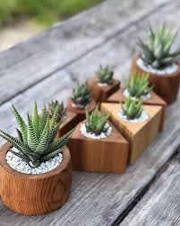 Succulents In Wooden Planters Succulent Planter Diy Diy Wooden Planters Succulents Diy