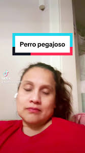 Dime Que Tu Perros Es Pegajoso