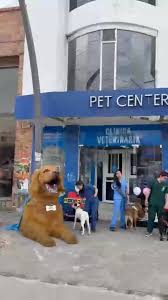 Petcenter Tunja