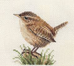 Bird Cross Stitch Pattern Wren Garden Bird Full Counted Cross Stitch Kit With All Materials Fido Stitch Cross Stitch Cross Stitch Bird Cross Stitch Animals