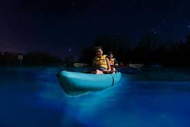 Pete beach, st pete beach suites is in the entertainment district and near the beach. Bioluminescent Kayaking Rafting Florida S Best Bioluminescence Tours