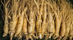 Remove big rocks or roots that would prevent the seeds from making direct contact with the soil. Why Ginseng Is The Winter Staple For Your Health Sbs Food
