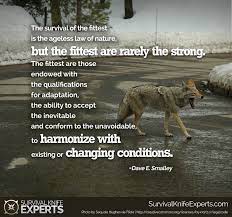 pin on survival quotes