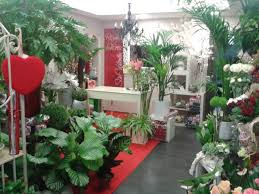 Floristería Mayú