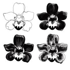 Creative ideas from professional designers. Tell Your Story Through Custom Tattoo Designs By Jollyink Fiverr