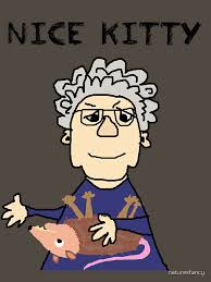 Funny Old Lady Petting Possum Nice Kitty Cartoon" Essential T-Shirt for  Sale by naturesfancy