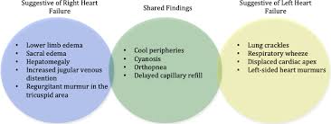 cardiogenic shock journal of the american heart association