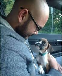 Adopting a dog and experiencing love at first sight