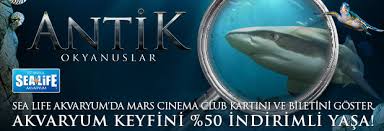 Sea Life Akvaryum Bilet Fiyatlari Simdi 50 Indirimli Kampanyabul Org