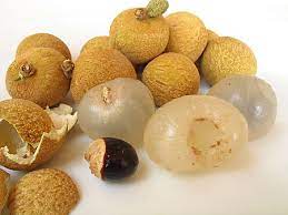 Nama saintifiknya adalah ( euphoria malaiense ). Mata Kucing Malaysia S Version Of The Longan Chelswritesplantshere