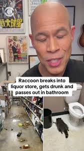 France's Crown Jewels were stolen right out of the Louvre in broad daylight 