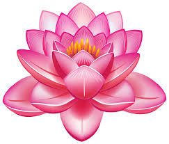 Image result for lotus flower