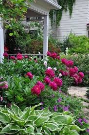 Peonies Hostas Etc Beautiful Gardens Peonies Garden Flower Garden Design