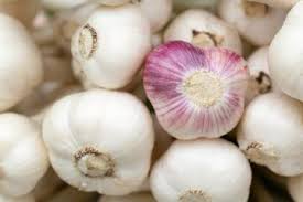 Ail 8 Vertus Et Bienfaits Meconnus En 2020 Ail Bienfaits Trucs Et Astuces Jardinage Soupe A L Ail