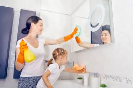 Do you have a home economics course for young teen boys? Five Elements Of An Excellent Home Economics Class