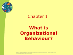 Human translations with examples maksud common sense. Ppt Chapter 1 What Is Organizational Behaviour Maksud Khurashi Academia Edu