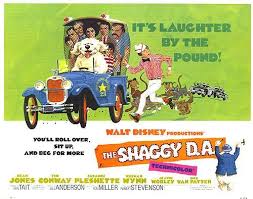 The Shaggy D.A. Reviews