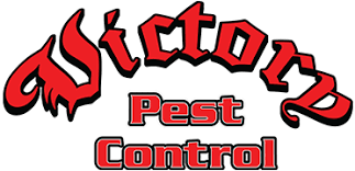 But, with the cost associated with pest control services, you may be thinking why you need to hire them. Welcome To Victory Pest Control Quality Myrtle Beach Pest Control Services