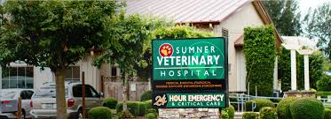 If your physician is closed or not easily accessible these urgent this can be a lot cheaper and the service is generally much faster. 24 7 Emergency And Full Service Animal Hospital In Sumner Wa 98390