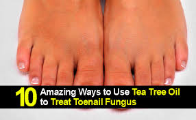 tea tree oil for toenail fungus