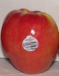 What Is A Sweetango Apple Like Eat Like No One Else Apple Honeycrisp Eat