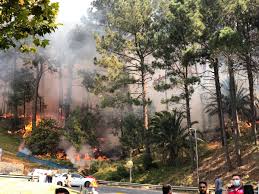 The university of cape town (uct) said all students on its main campus were being evacuated by emergency services support staff on sunday as a runaway wildfire spread onto the campus grounds. Iy Qvnbwwhtcnm