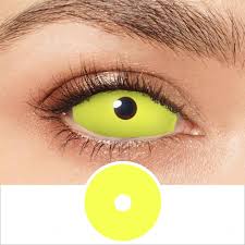 Image result for Sclera