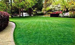 Garden Lovin How To Have A Green Lawn Garden Lovin Lush Lawn Seeding Lawn Green Lawn