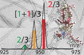 Tau Assembly: The Dominant Role of PHF6 (VQIVYK) in Microtubule Binding  Region Repeat R3