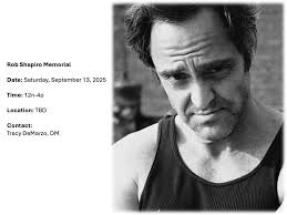 Bricks available for pickup today, limited supply