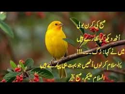 Asalam O Alaikum New Subha Bakhair Dua Status 2020 Good Morning Whatsapp Status 2020 Youtube Dua to be recited in the morning. asalam o alaikum new subha bakhair dua status 2020 good morning whatsapp status 2020