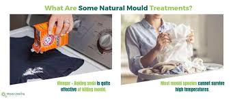 If you breathe mould in, you could have an asthma attack or allergic reaction. Remove Mould From Clothes Mould Cleaning Australia