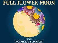 Dec 24 2020 chief justice of canada &amp; The Cold Moon Full Moon In December 2020 The Old Farmer S Almanac