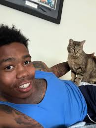 Grey/brown bully mix Suffolk Va Stray found